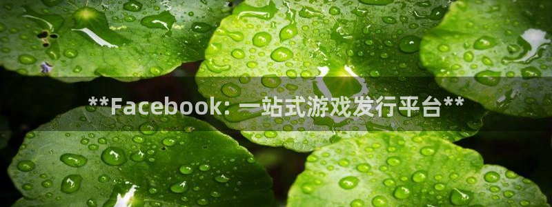 蓝狮品牌
