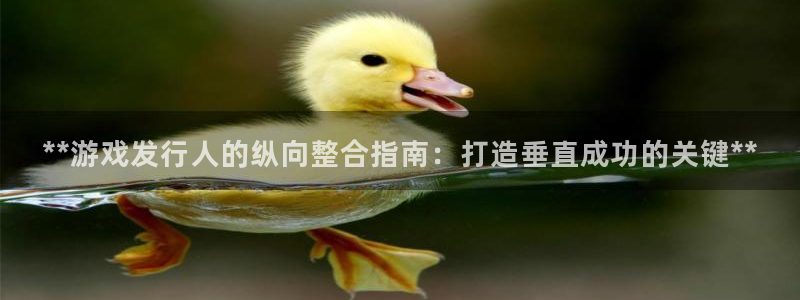 蓝狮电子商务有限公司