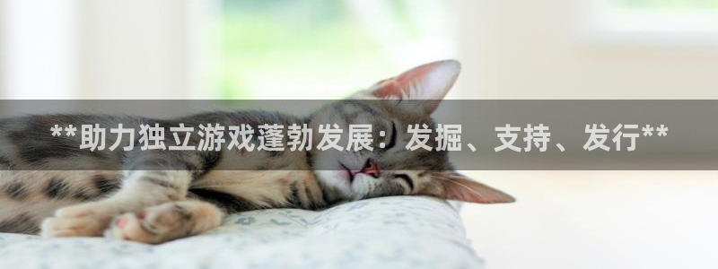 蓝狮子财经丛书有哪些：**助力独立游戏蓬勃发展：发掘、支持、发行**
