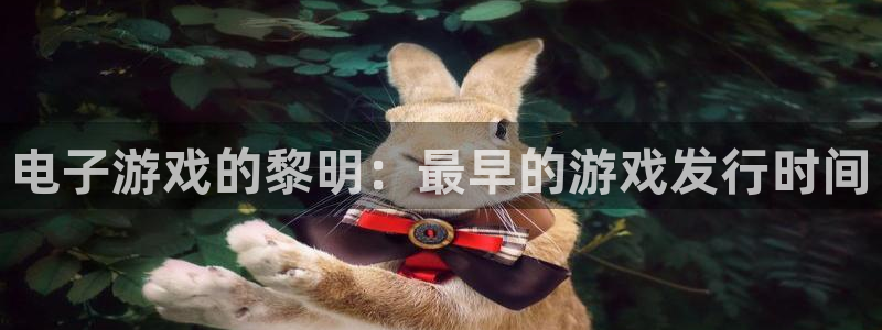蓝狮子教育科技(江门)有限公司：电子游戏的黎明：最早的游戏发行时间