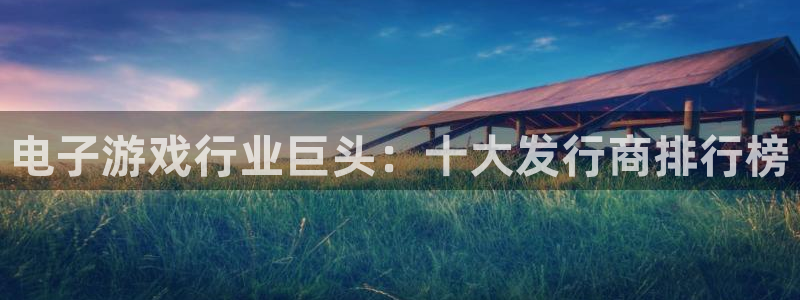 蓝狮电子商务：电子游戏行业巨头：十大发行商排行榜