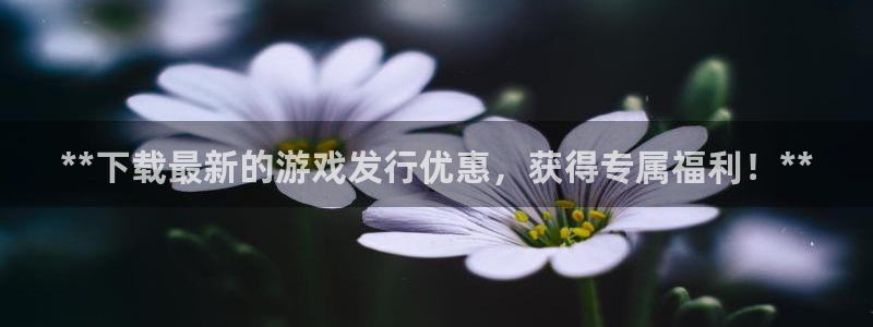 蓝狮香烟图片：**下载最新的游戏发行优惠，获得专属福利！**