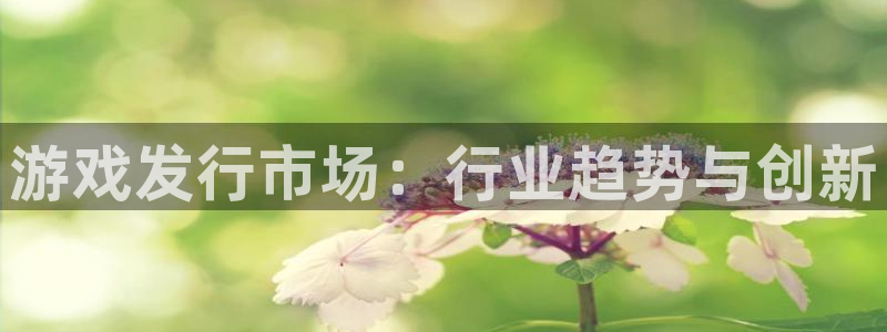 蓝狮在线注册方法视频教程