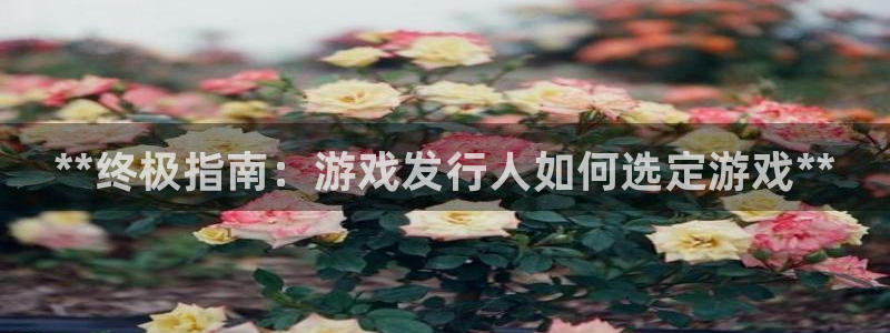 四川蓝狮科技有限公司
