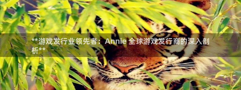 作者蓝狮子