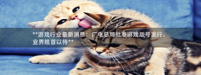 蓝狮在线挂机项目怎么样可靠吗
