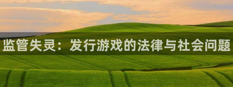 蓝狮在线登录注册账号是什么意思：监管失灵：发行游戏的法律与社会问题