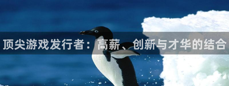 蓝狮品牌顾问有限公司：顶尖游戏发行者：高薪、创新与才华的结合