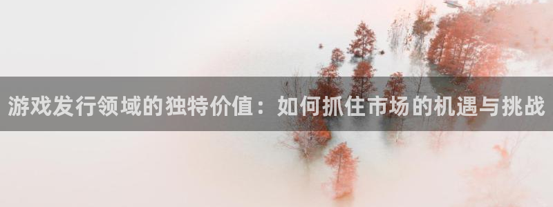 蓝狮实业投资(东莞)有限公司：游戏发行领域的独特价值：如何抓住市场的机遇与挑战
