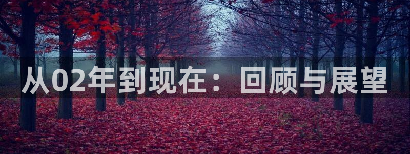 蓝狮科技：从02年到现在：回顾与展望