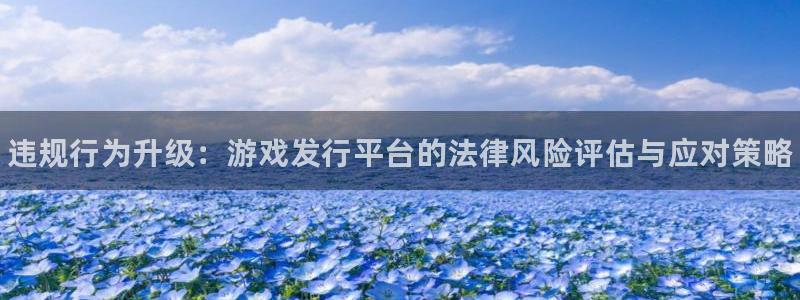 蓝狮子最好看的小说：违规行为升级：游戏发行平台的法律风险评估与应对策略