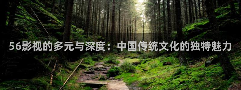 伊人影院在线观看av：56影视的多元与深度：中国传统文化的独特魅力