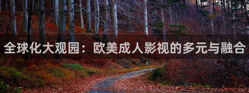 伊人影院成人综合网：全球化大观园：欧美成人影视的多元与融合