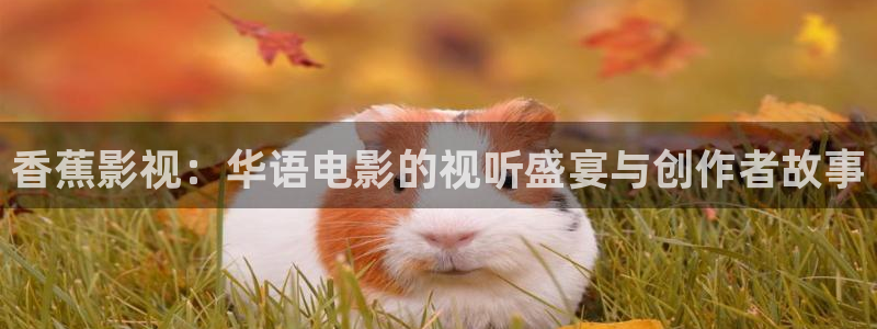伊人影视影院：香蕉影视：华语电影的视听盛宴与创作者故事