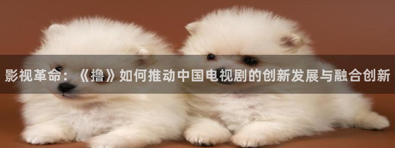 伊人影院焦久影院：影视革命：《撸》如何推动中国电视剧的创新发展与融合创新