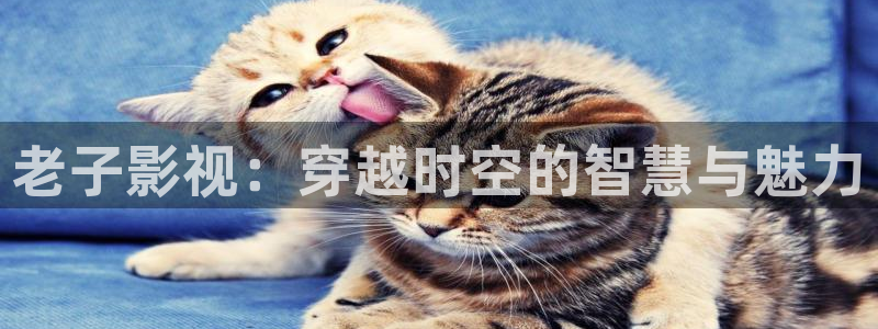 伊人日本影院
